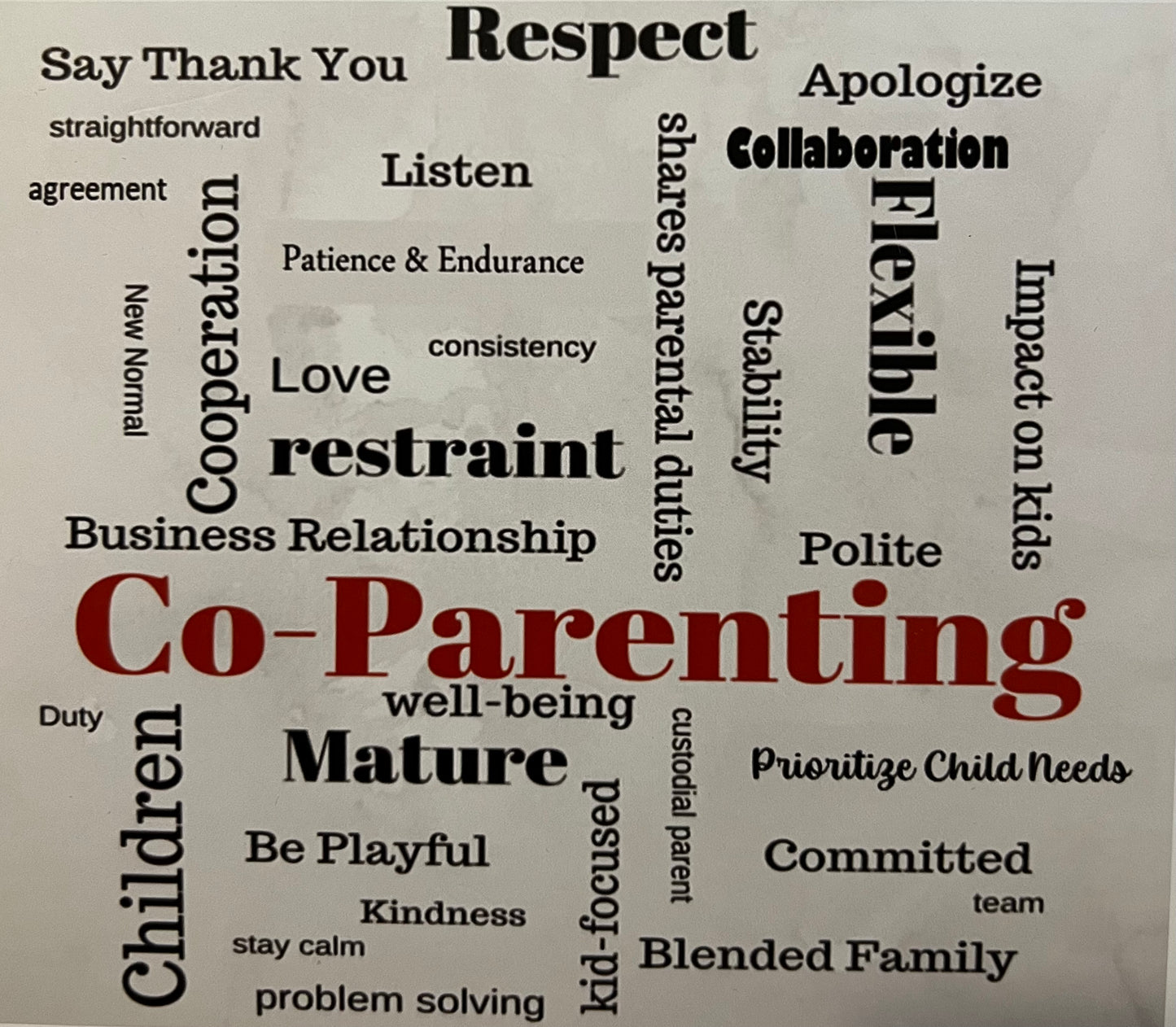 Co-Parenting Education & Workshops (click here to register)